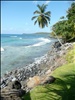 view from the hammock, Casa Canada